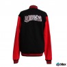 Ice Dragons Collegejacke